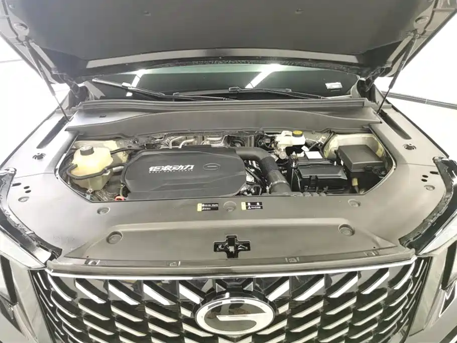 GAC Motor Trumpchi GS8 2024 — фото 10