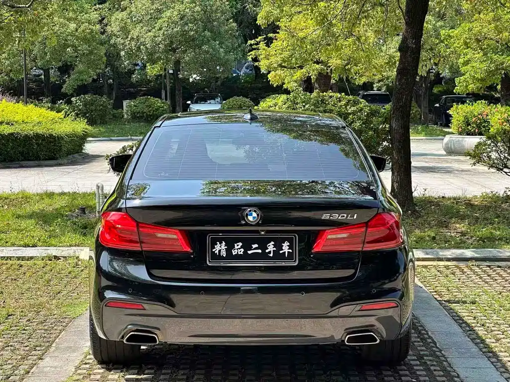 BMW 5 Series 2018 — фото 14