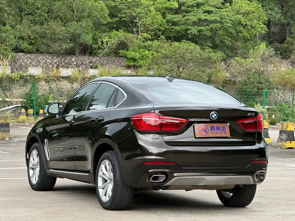 BMW X6 2019 — фото 8