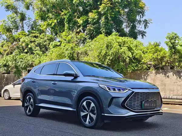BYD Song PLUS New Energy 2021
