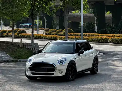 MINI MINI 2018