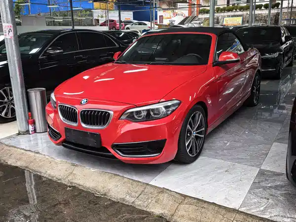 BMW 2 Series 2018