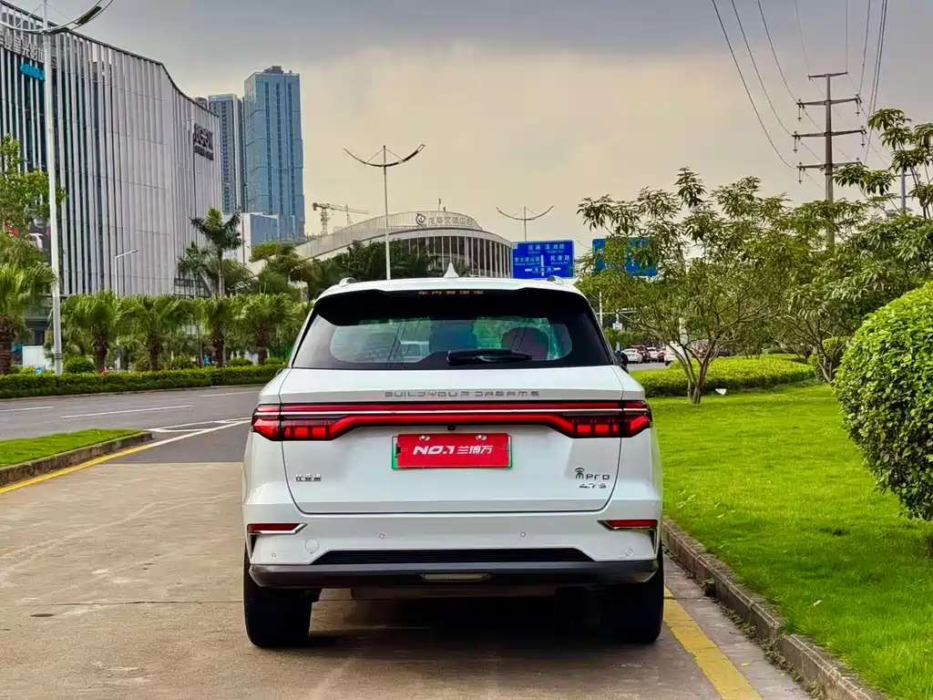 BYD Pro New Energy 2020 — фото 5