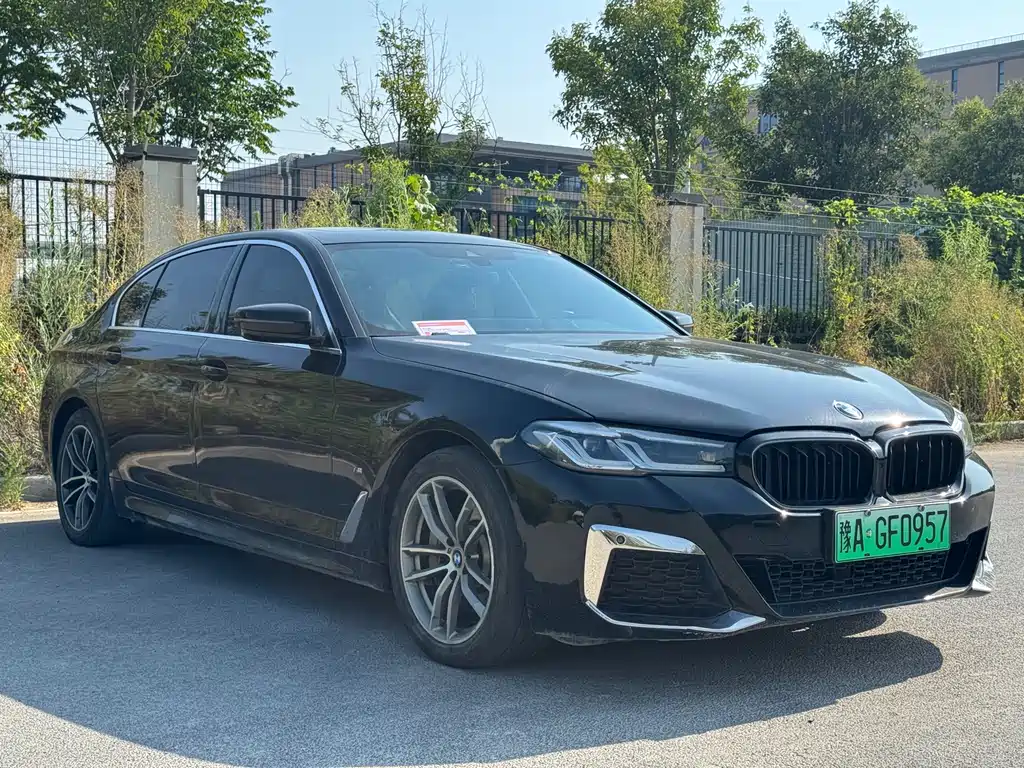 BMW 5 Series New Energy 2021