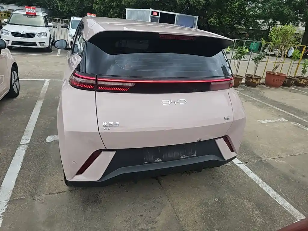BYD Seagull 2024