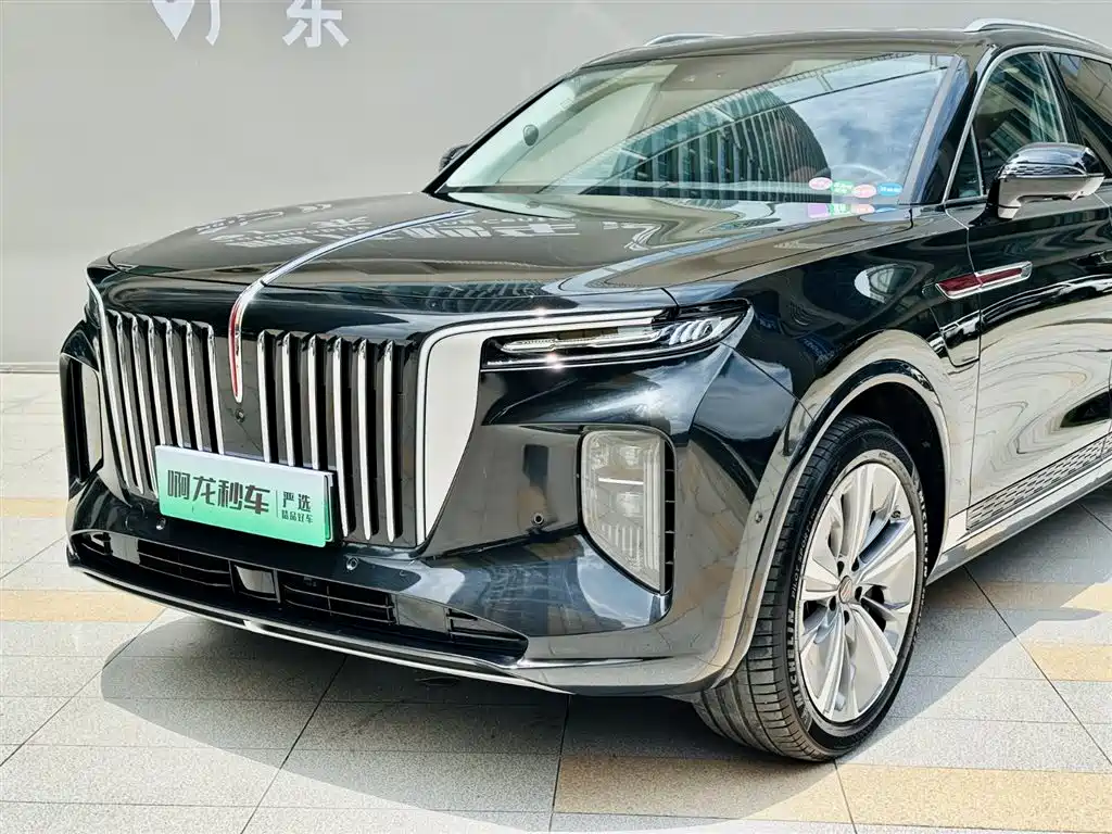 Hongqi E-HS9 2023 — фото 16