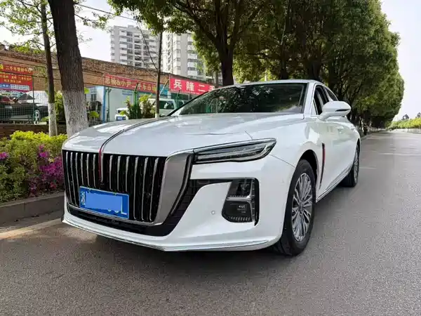 Hongqi H5 2024