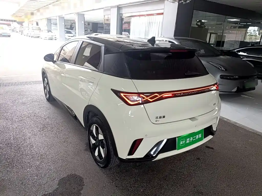 BYD Dolphin 2024