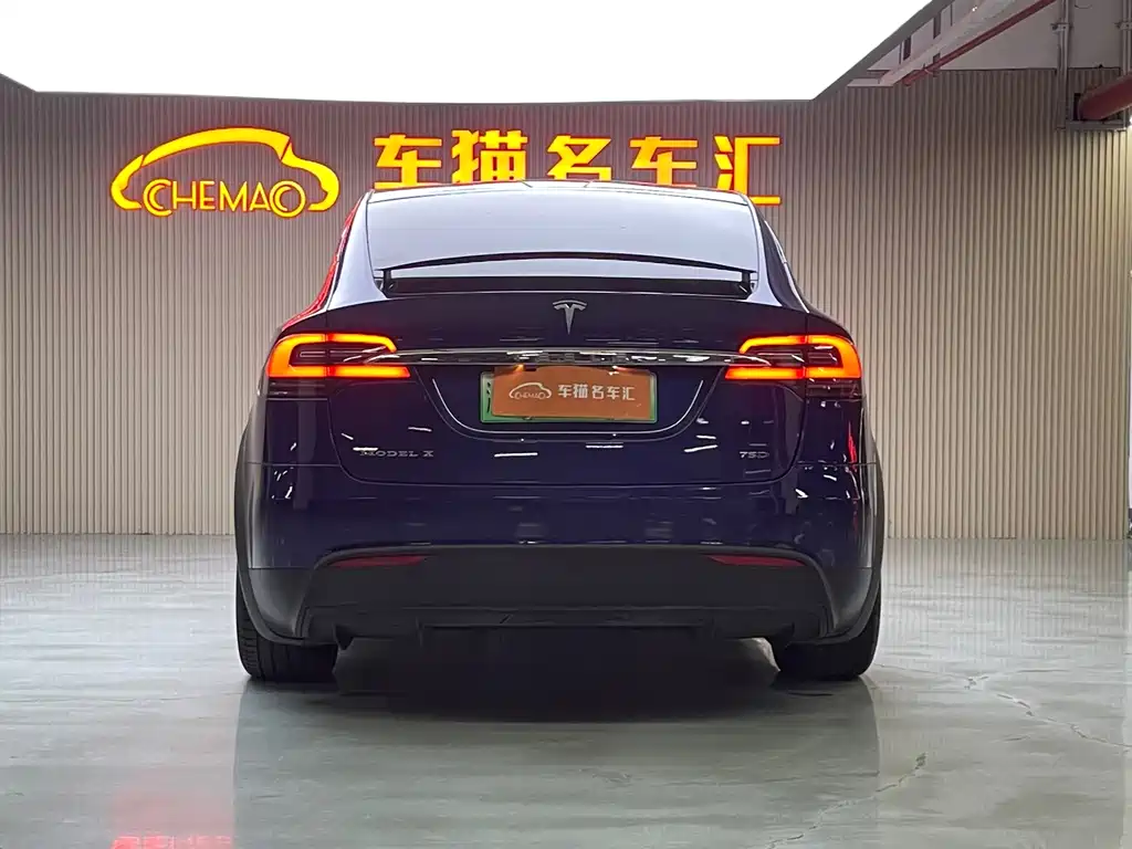 Tesla Model X 2017 — фото 13