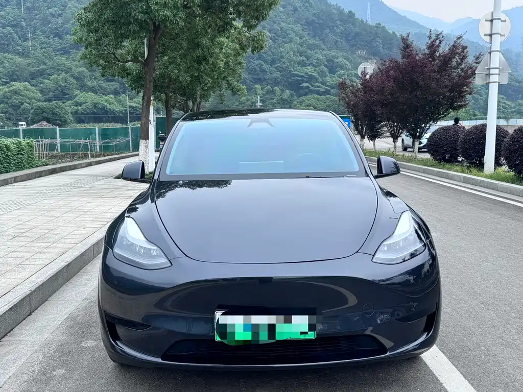 Tesla Model Y 2024 — фото 2