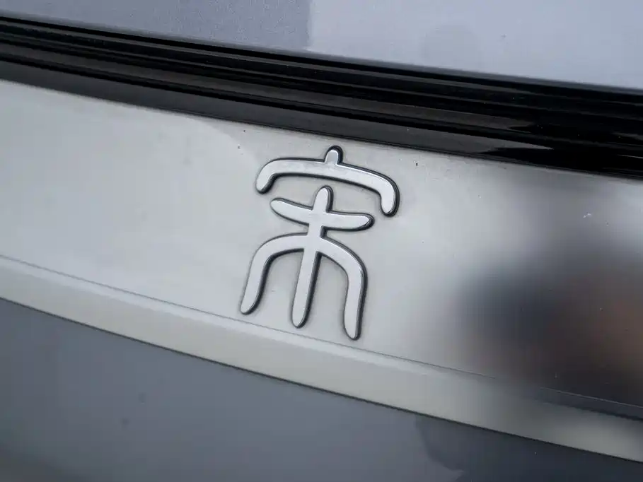 BYD Song PLUS New Energy 2024 — фото 20