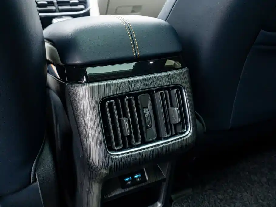 BYD Song PLUS New Energy 2024 — фото 16