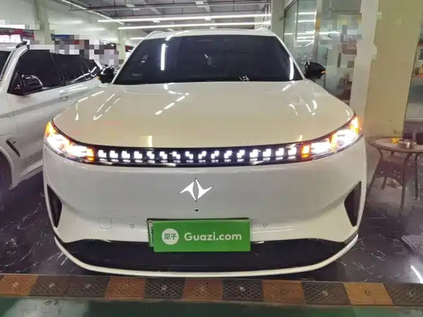 Dongfeng e008 2024