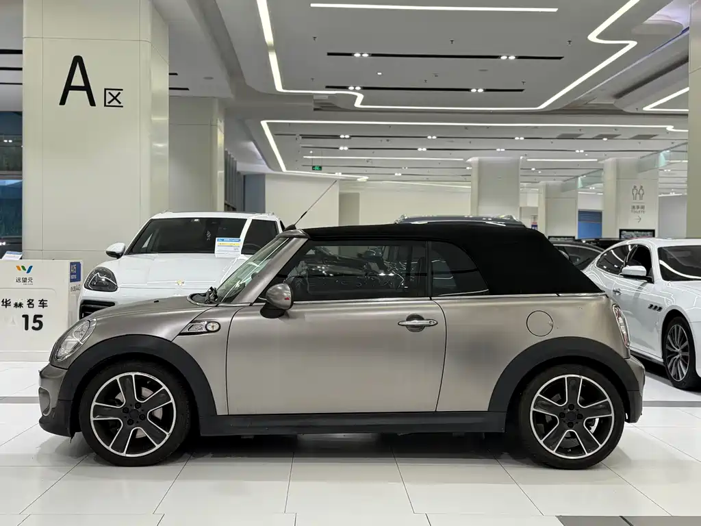 MINI MINI 2012