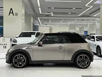 MINI MINI 2012