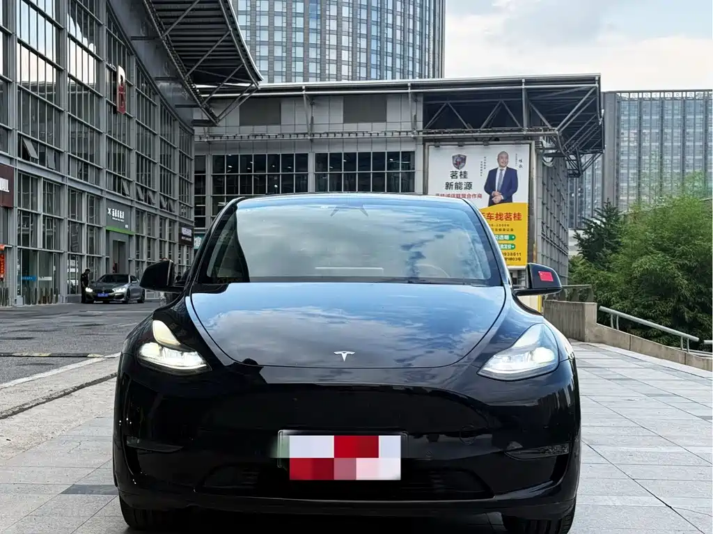 Tesla Model Y 2021 — фото 2