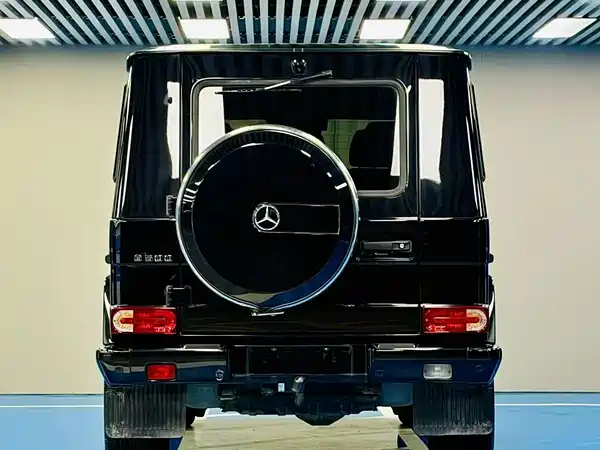 Mercedes-Benz G-Class 2010