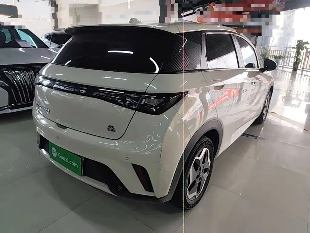 BYD Dolphin 2022