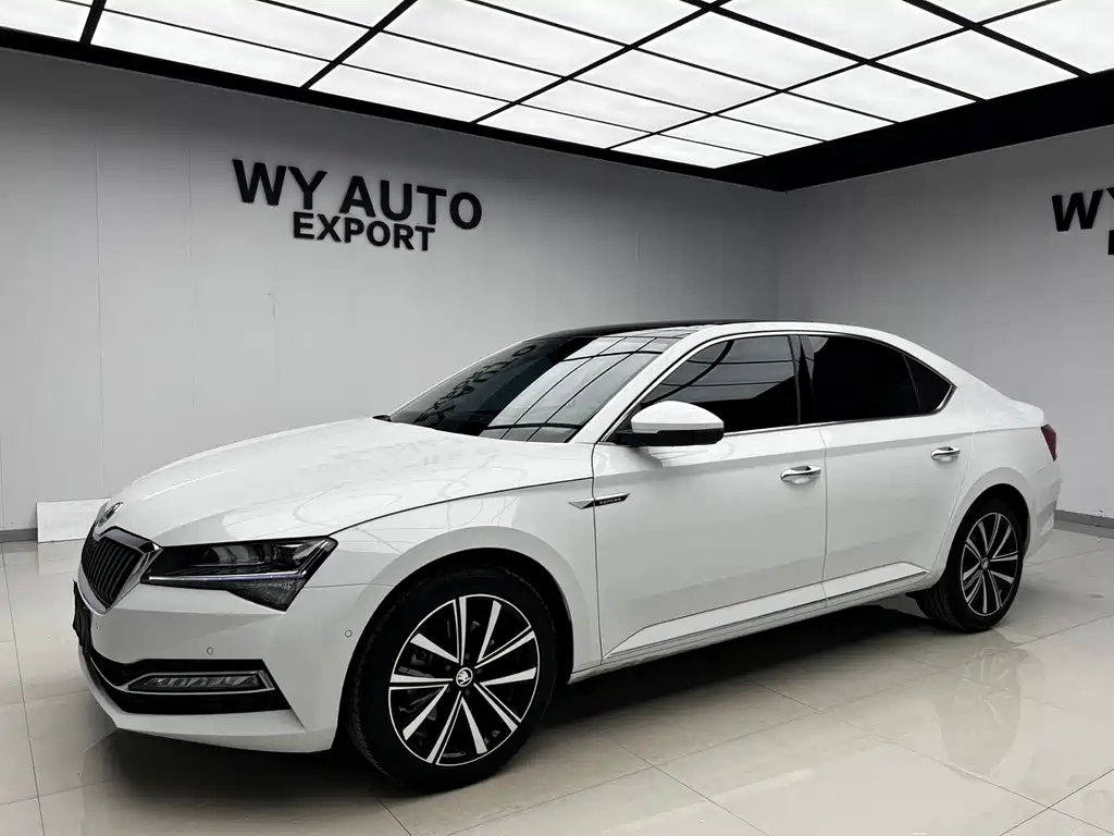 Skoda Speedy 2024