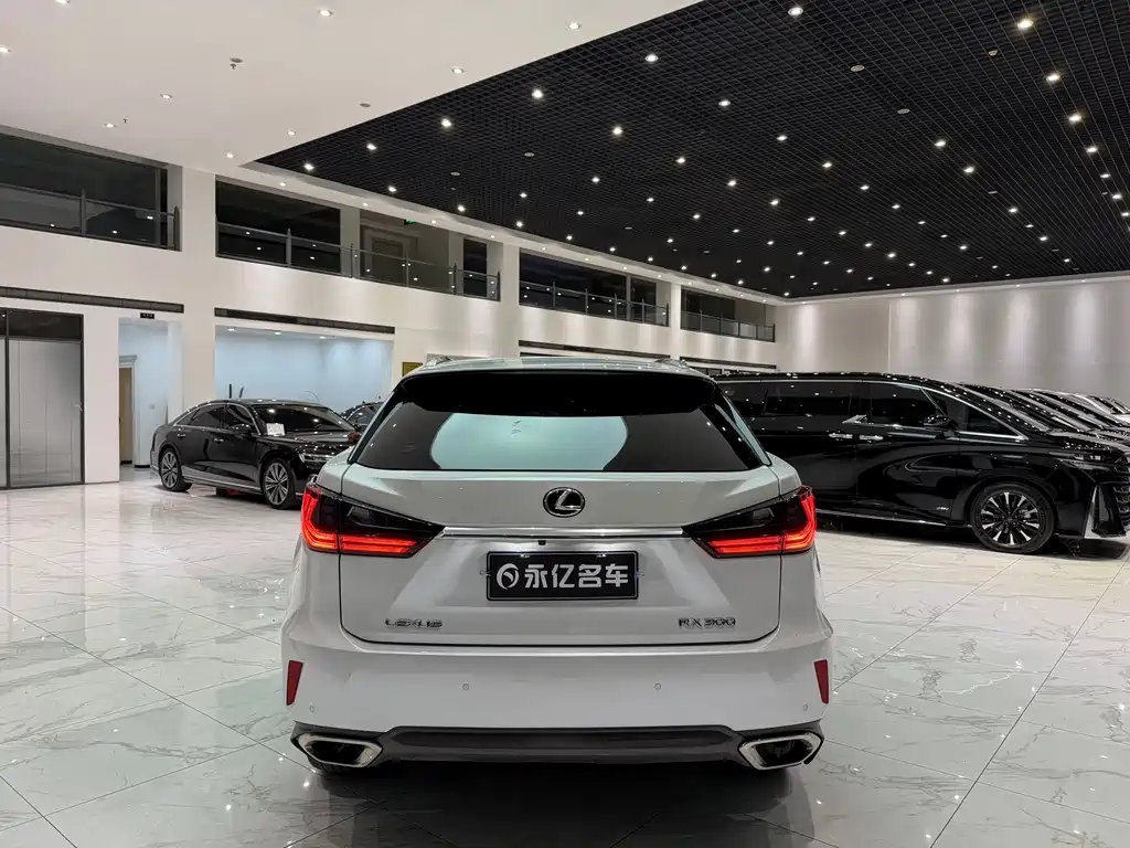 Lexus RX 2018 — фото 16