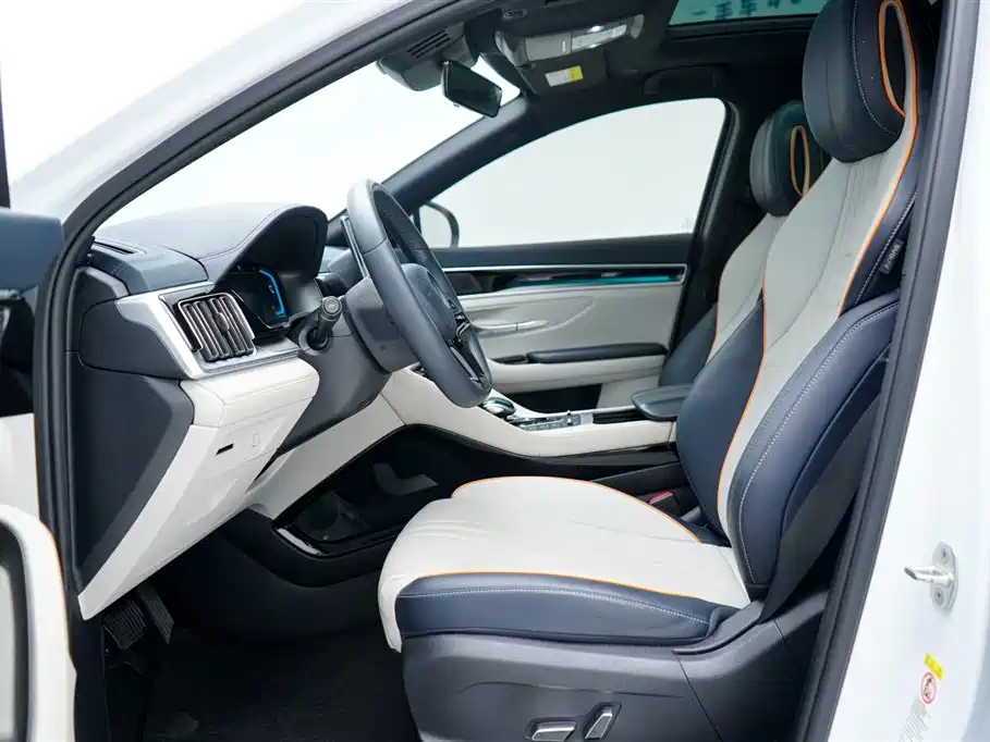 BYD PLUS New Energy 2023 — фото 14