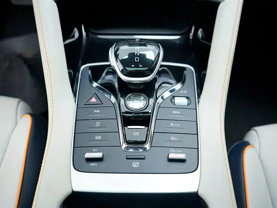 BYD PLUS New Energy 2023 — фото 3
