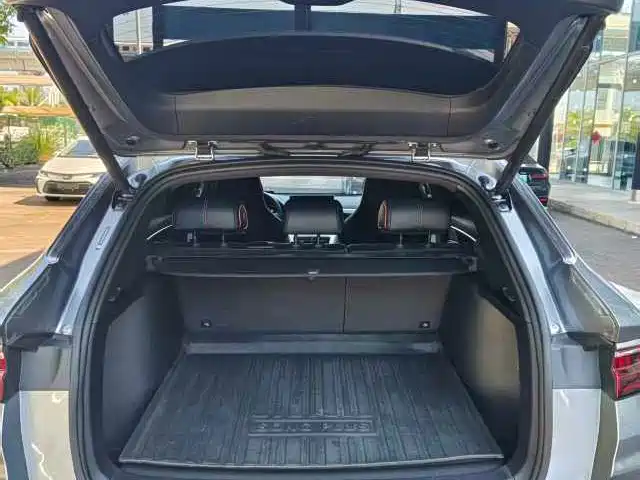 BYD PLUS New Energy 2023 — фото 13