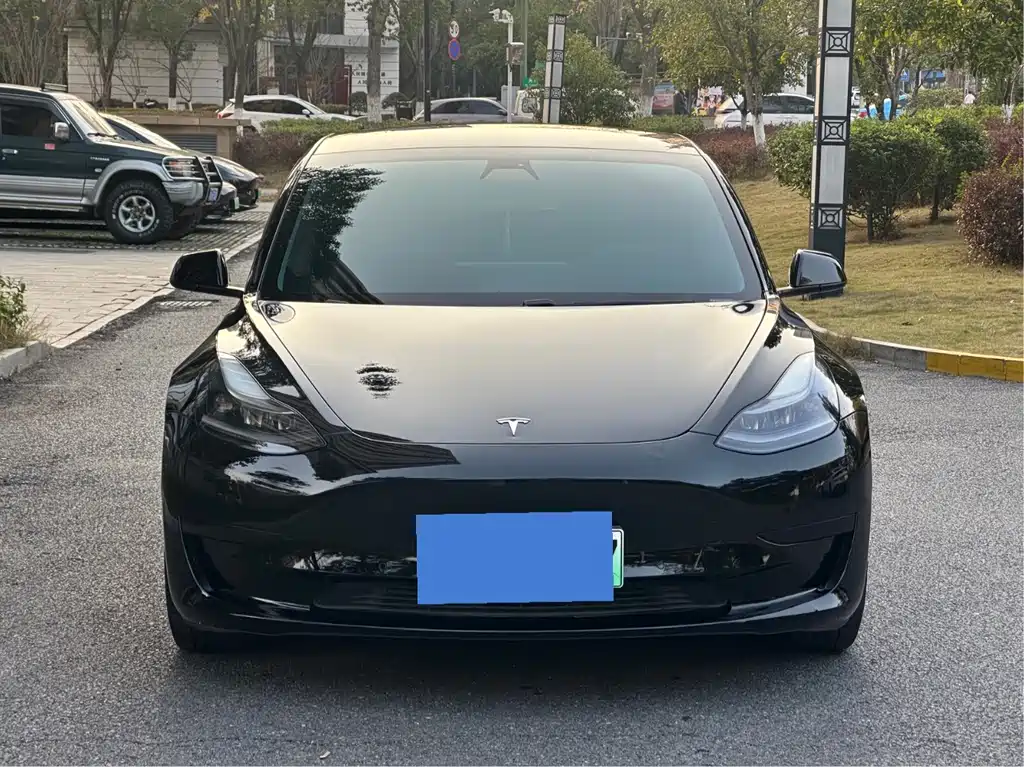 Tesla Model 3 2021 — фото 2