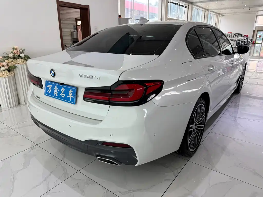 BMW 5 Series 2018 — фото 19
