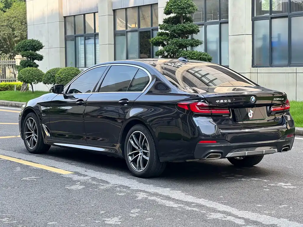 BMW 5 Series New Energy 2021