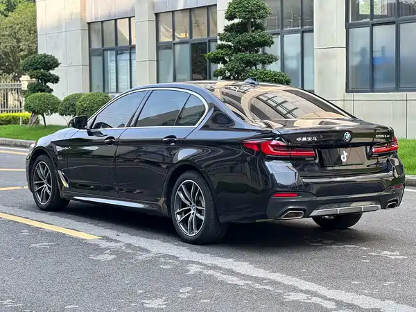 BMW 5 Series New Energy 2021
