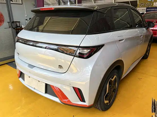 BYD Dolphin 2022