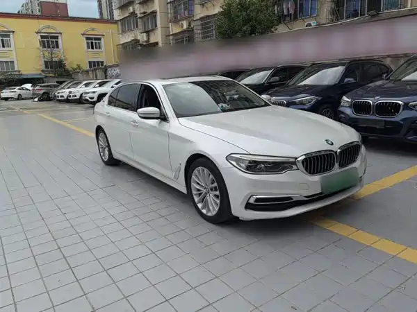 BMW 5 Series New Energy 2020