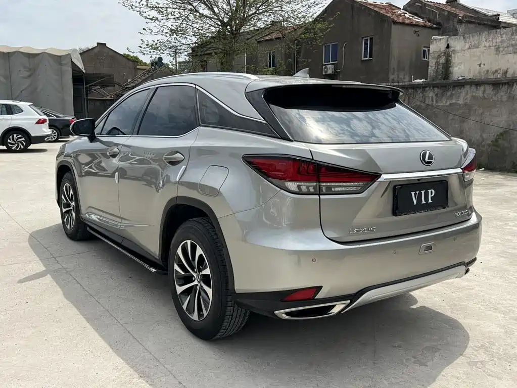 Lexus RX 2020 — фото 14