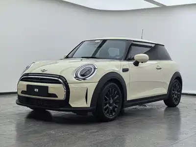 MINI MINI 2022