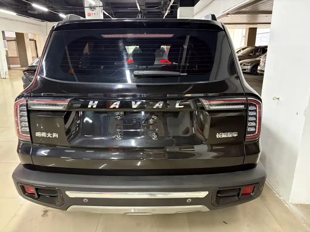 Haval Big Dog 2021 — фото 10
