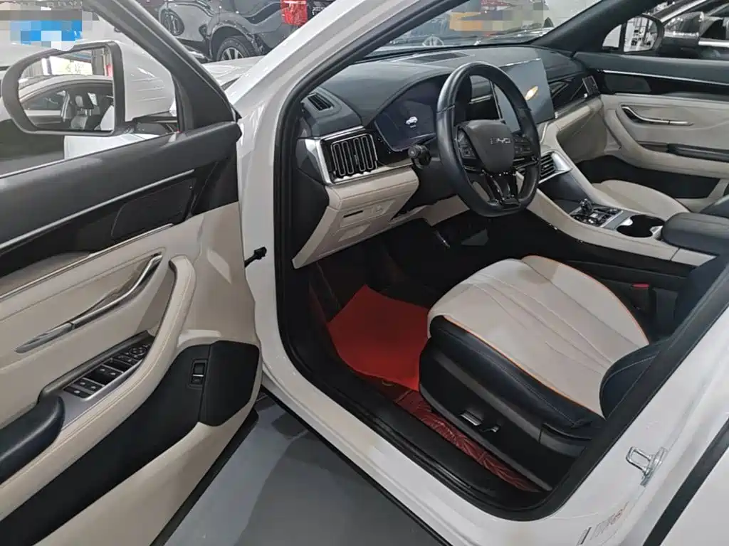 BYD PLUS New Energy 2024 — фото 16
