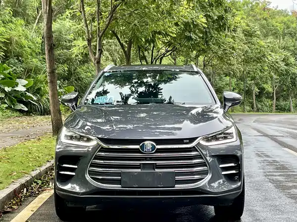 BYD Tang New Energy 2020