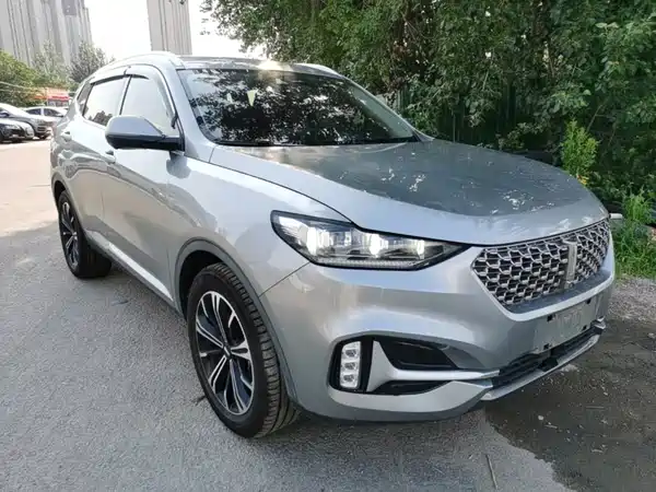 Wey VV6 2021