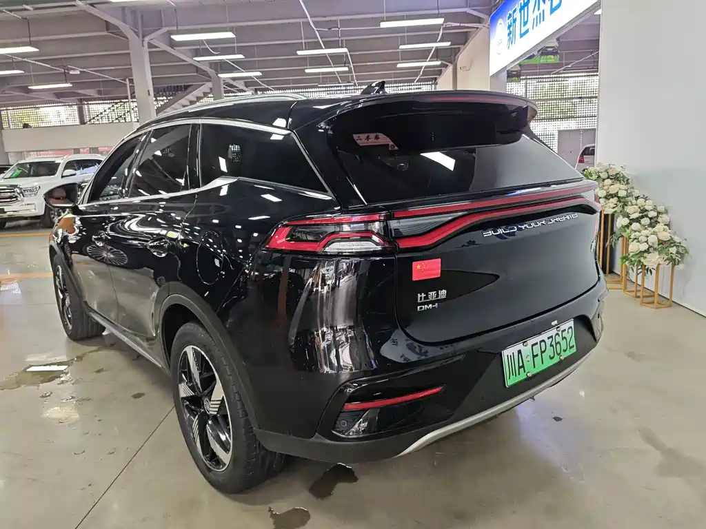 BYD Tang New Energy 2023 — фото 11
