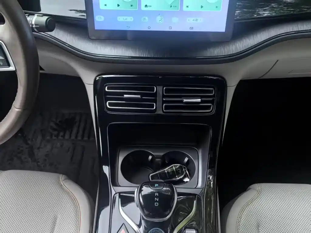 BYD Qin PLUS 2024 — фото 15