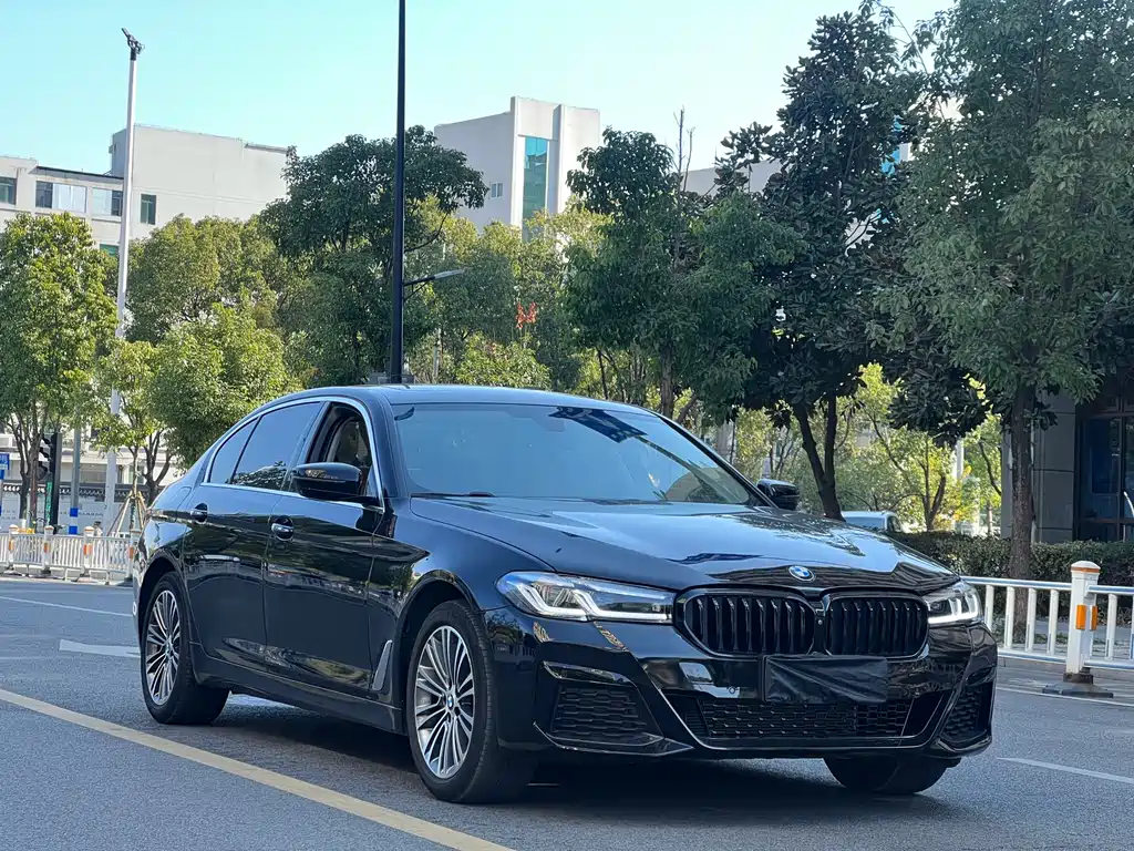 BMW 5 Series 2018