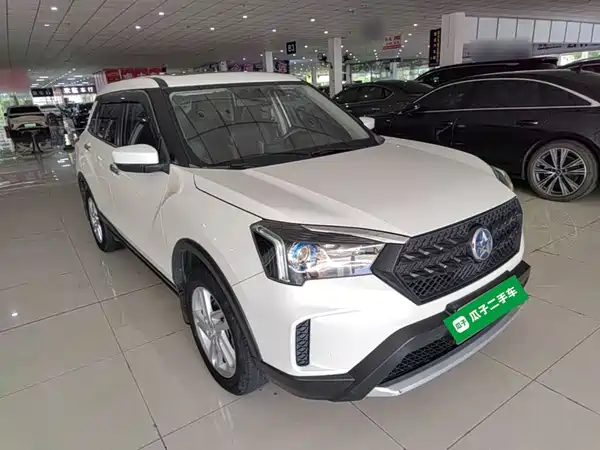 Venucia T60 2021