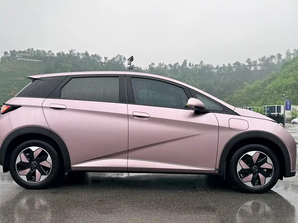 BYD Dolphin 2025