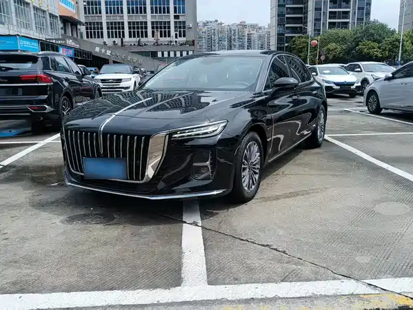 Hongqi H5 2024