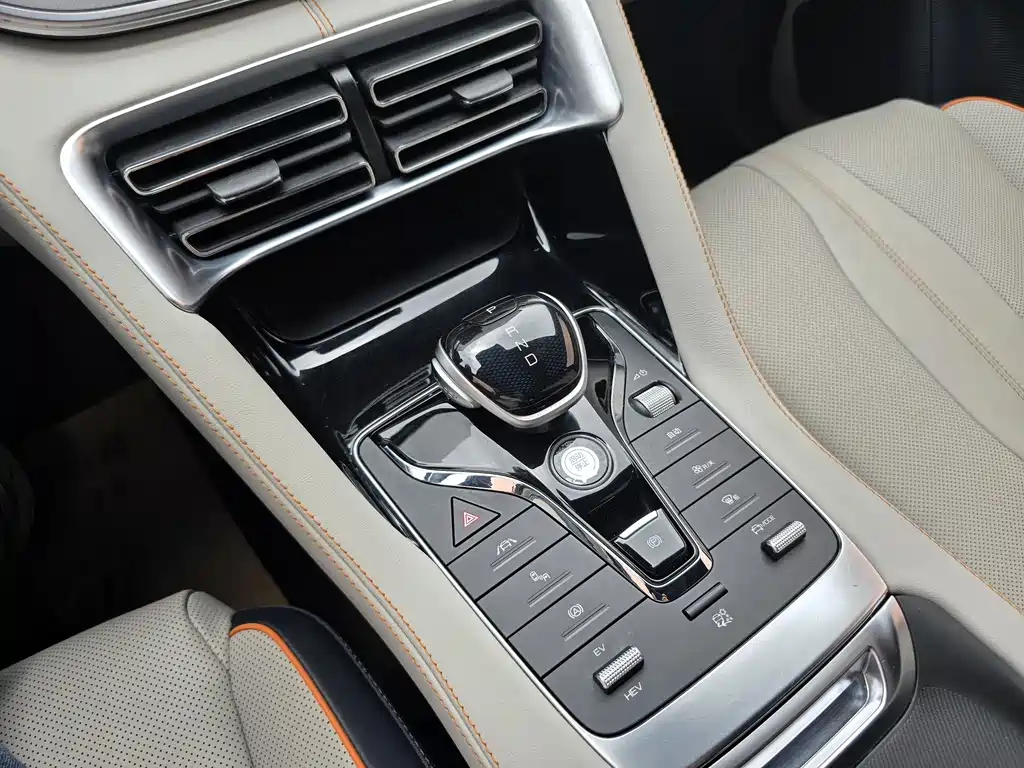BYD PLUS New Energy 2022 — фото 14