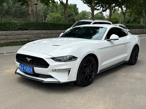 Ford Mustang 2019