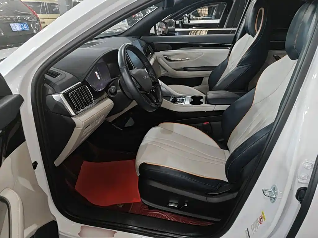 BYD PLUS New Energy 2024 — фото 15