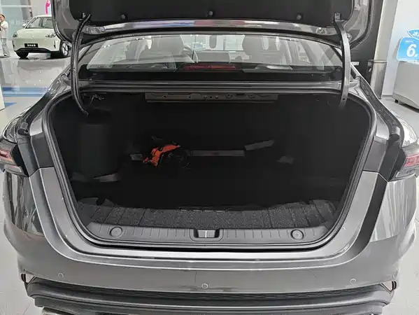 Geely Binrui 2026