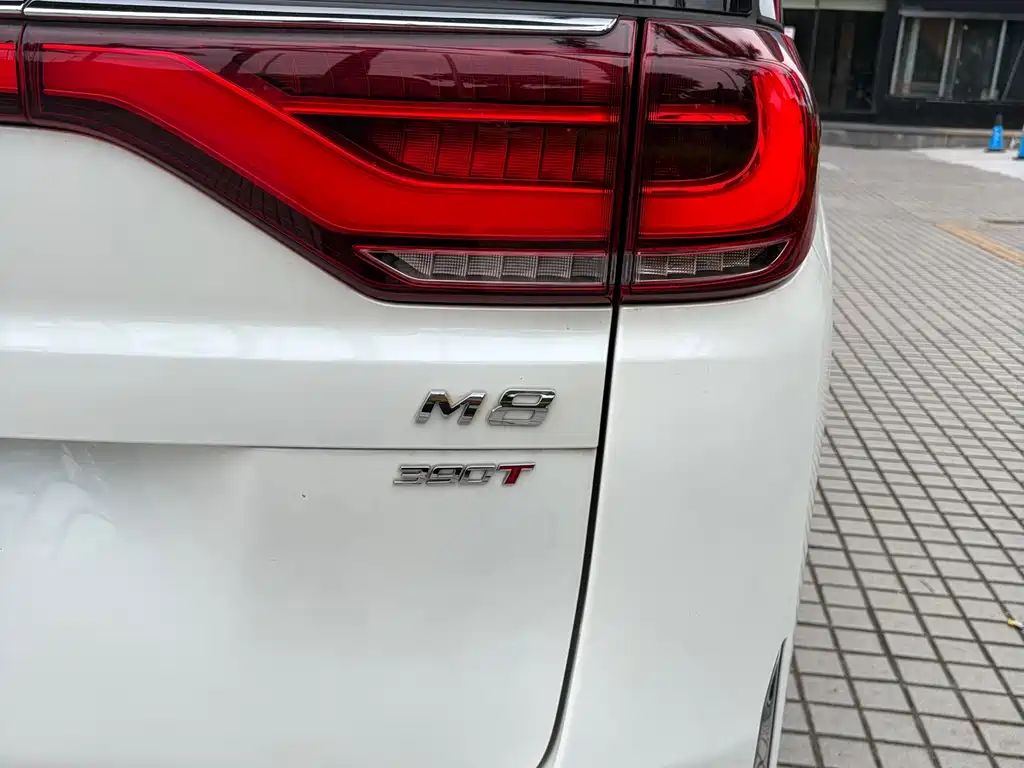 GAC Motor Trumpchi M8 2021 — фото 28